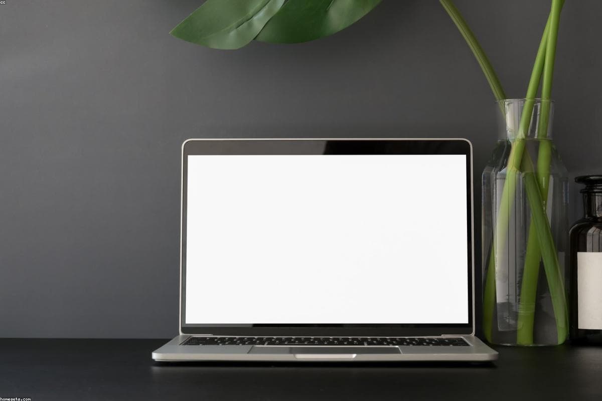 Recteq 1600: Your Wallet's Funeral, Your Ribs' Redemption (Maybe)