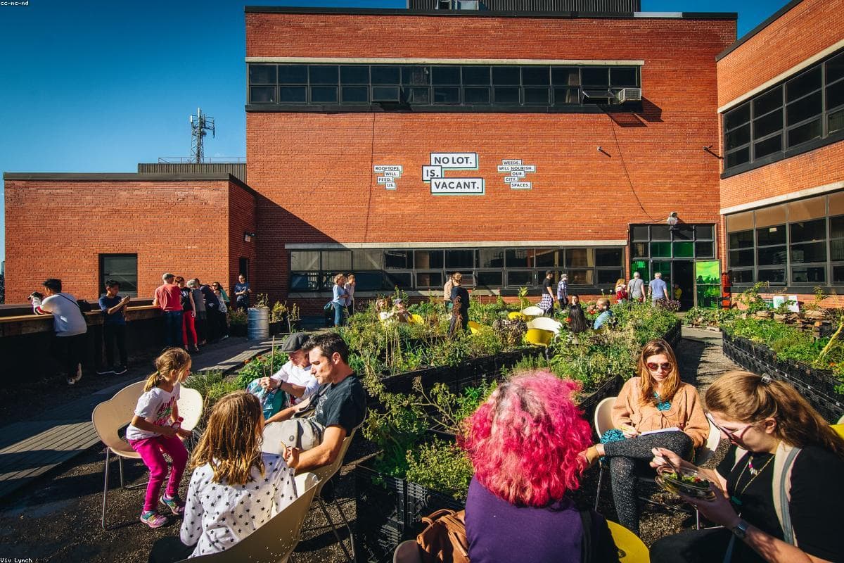 Bio-Thermoregulation: Nature's Ancient Firmware Update. Still Glitchy, But Kinda OP.