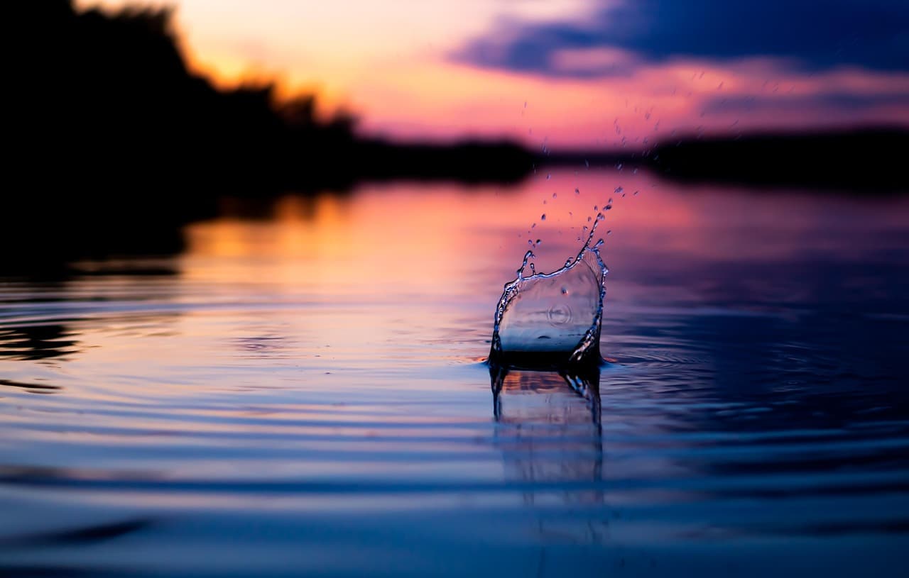 Apple TV+ Throws Palm Royale to the Digital Curb: Another Flop in…