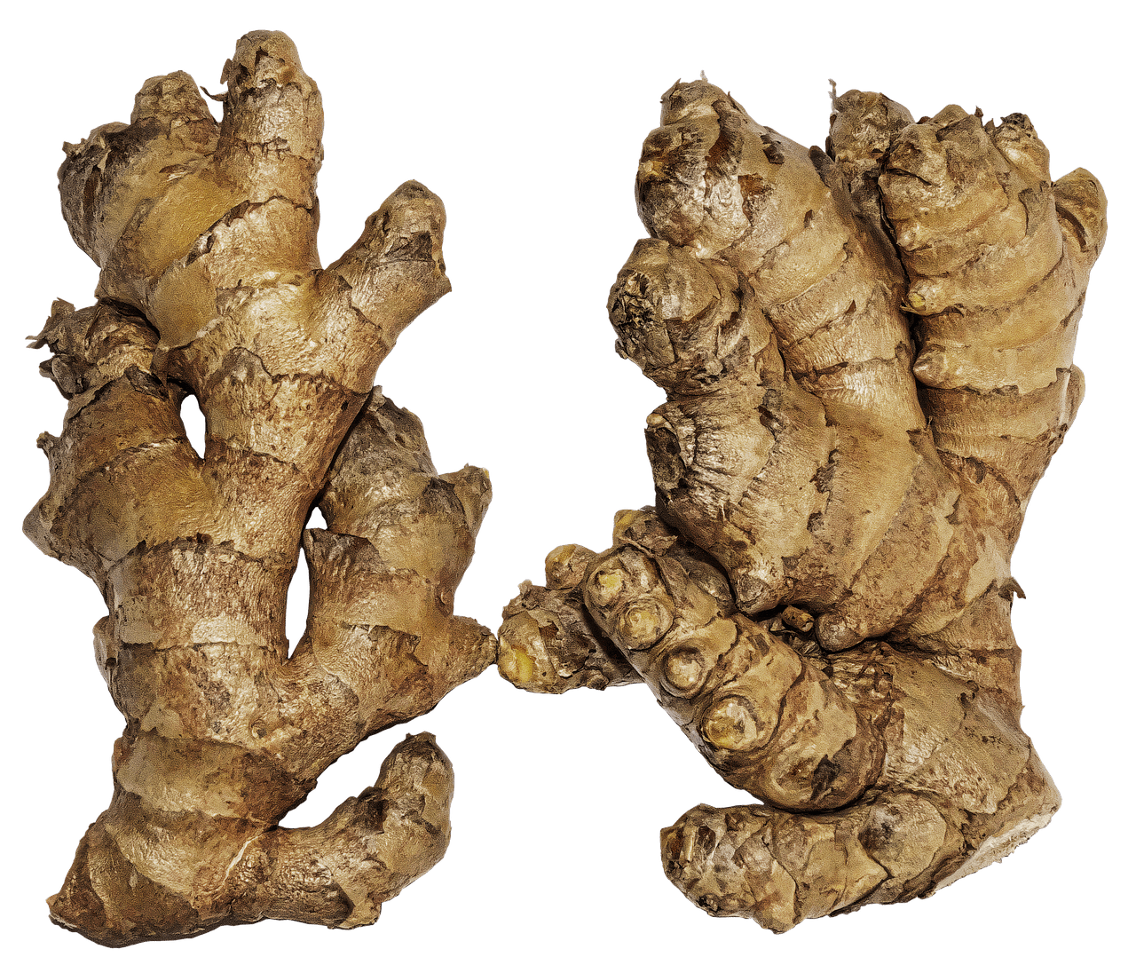 FDA Rejects Leucovorin Autism Hype: A Regulatory Breakdown