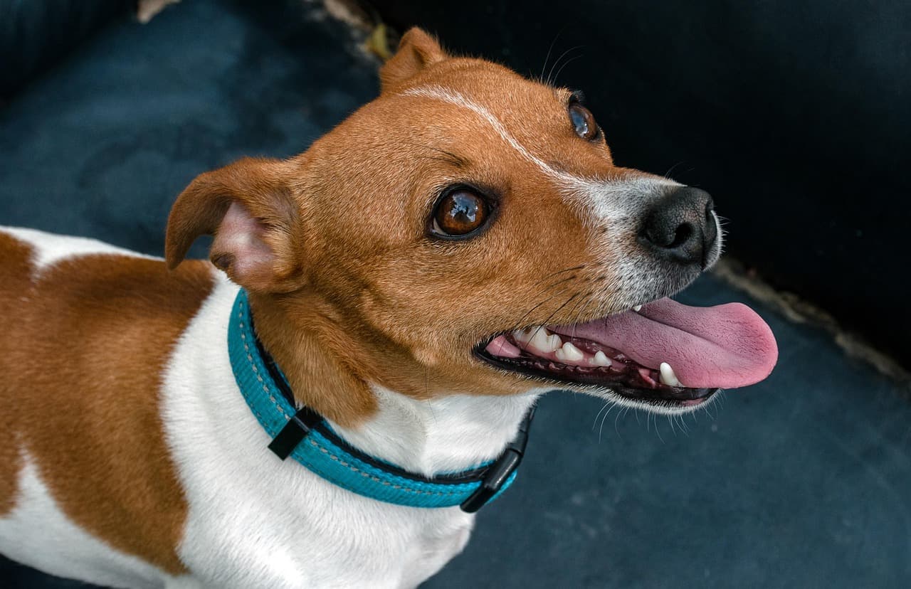 Anthropic Challenges DOD AI Control: A Proxy War Unfolds